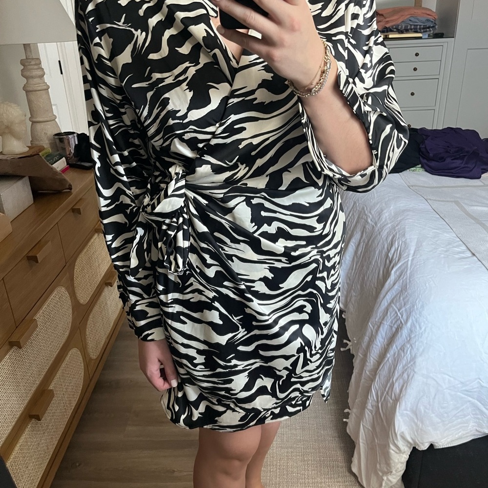 H&M Zebra Print Long Sleeve Dress